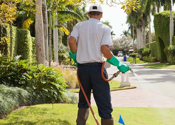 About King Ferry NY Pest Control